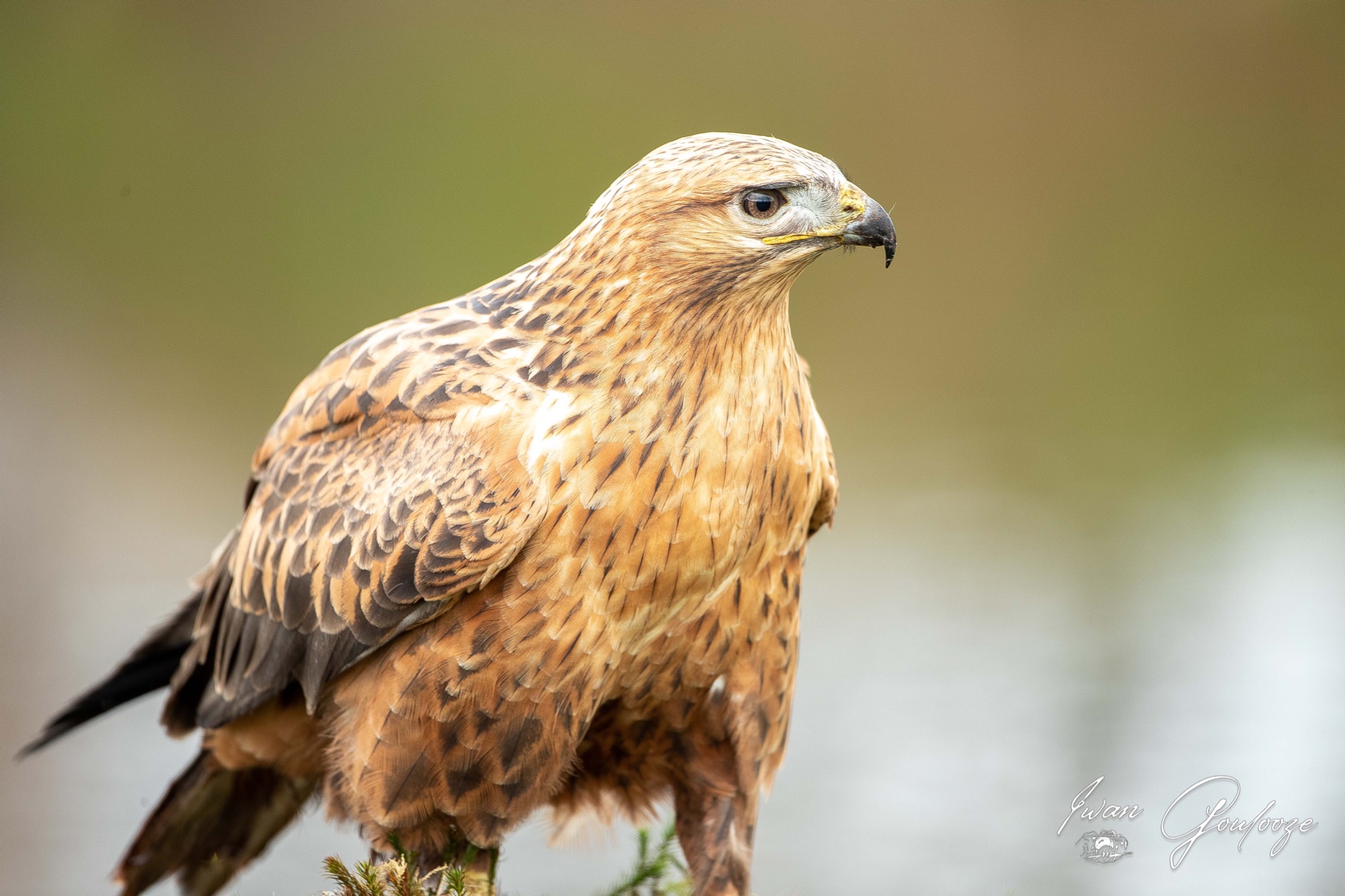 1DX45392 28 november 2021 1357 56